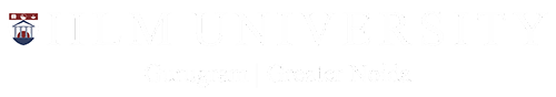 IILM University